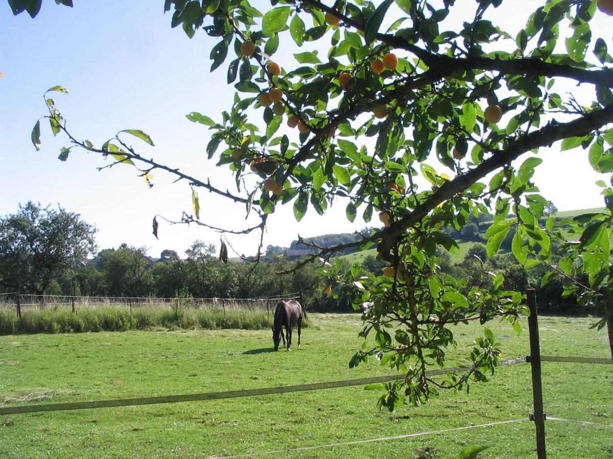 Bed and Breakfast 4 Collines Hagnicourt Exterior foto